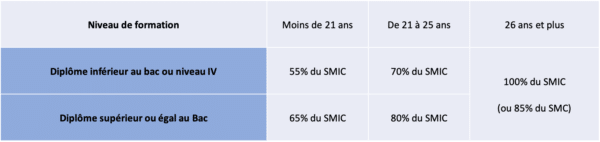 Contrat Apprentissage Ou Contrat Professionnalisation : Comprendre Les ...